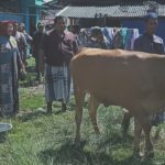 Jamaludin Potong Hewan Kurban