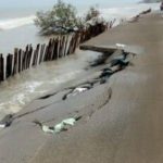 Abrasi pantai utara Karawang (Lintasbatas.news)