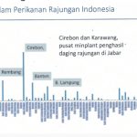 Harga Ekspor Rajungan Anjlok