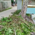 Petugas PLN Bikin Geram Kades Kutajaya