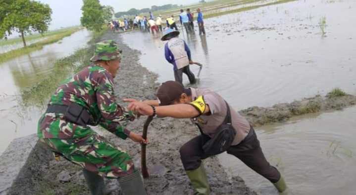 Sinergitas TNI dan Polri Dalam Membantu Para Petani