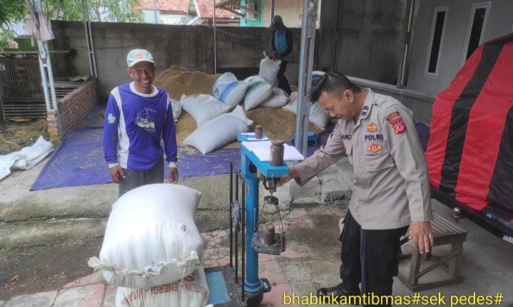 Anggota Polsek Pedes Bantu Memberikan Keamanan Petani Saat Panen Raya