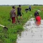 Aparat Desa Kutajaya Kerjabakti Bantu Petani
