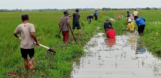 Aparat Desa Kutajaya Kerjabakti Bantu Petani