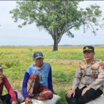 Kapolsek Pedes Laksanakan Giat Sambang Petani di Persawahan, Dialogis Dengan Petani