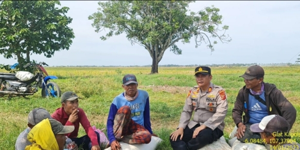 Kapolsek Pedes Laksanakan Giat Sambang Petani di Persawahan, Dialogis Dengan Petani