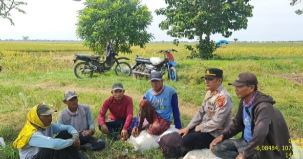 Kapolsek Pedes, giat sambang petani. (Lintasbatas.news)