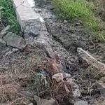Akibat Ulah Kontraktor Nakal, Bangunan Turap Jalan Yang Baru Dibangun Roboh