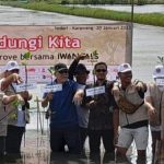 Tanam 1000 mangrove. (Lintasbatas.news)
