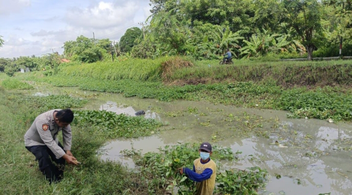 Polsek Pedes Bersama Warga Bakti Sosial Membersihkan Sungai Dari Eceng Gondok