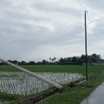 Warga Khawatir Akan Kondisi Tiang Listrik Yang Tumbang Tumbang