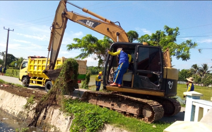 Antisipasi Banjir, Kepala Dinas PUPR Karawang Bersihkan Enceng Gondok di Sungai Irigasi