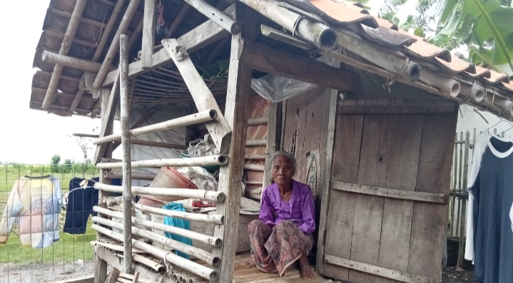 Seorang Nenek Manfaatkan Kandang Kambing Untuk Tempat Tinggal