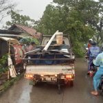 Pohon Tumbang Disekitar Jalan Raya Sampalan