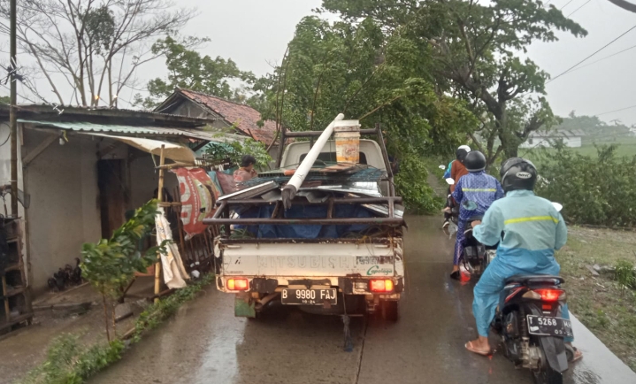 Pohon Tumbang Disekitar Jalan Raya Sampalan