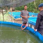 Sat Brimob Laksanakan Sambang Ketahanan Pangan