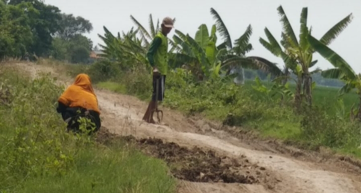 Sepasang Suami Istri Terciduk Sedang Perbaiki Jalan