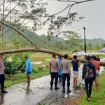 Polisi Evakuasi Dengan Cepat Pohon Yang Tumbang