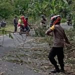 Agar Pengendara Aman Dan Lancar, Polisi Potong Pohon Bambu Yang Menjulur Ke Jalan