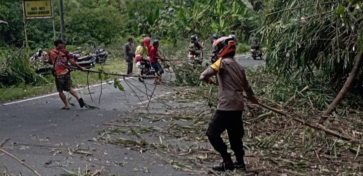 Agar Pengendara Aman Dan Lancar, Polisi Potong Pohon Bambu Yang Menjulur Ke Jalan