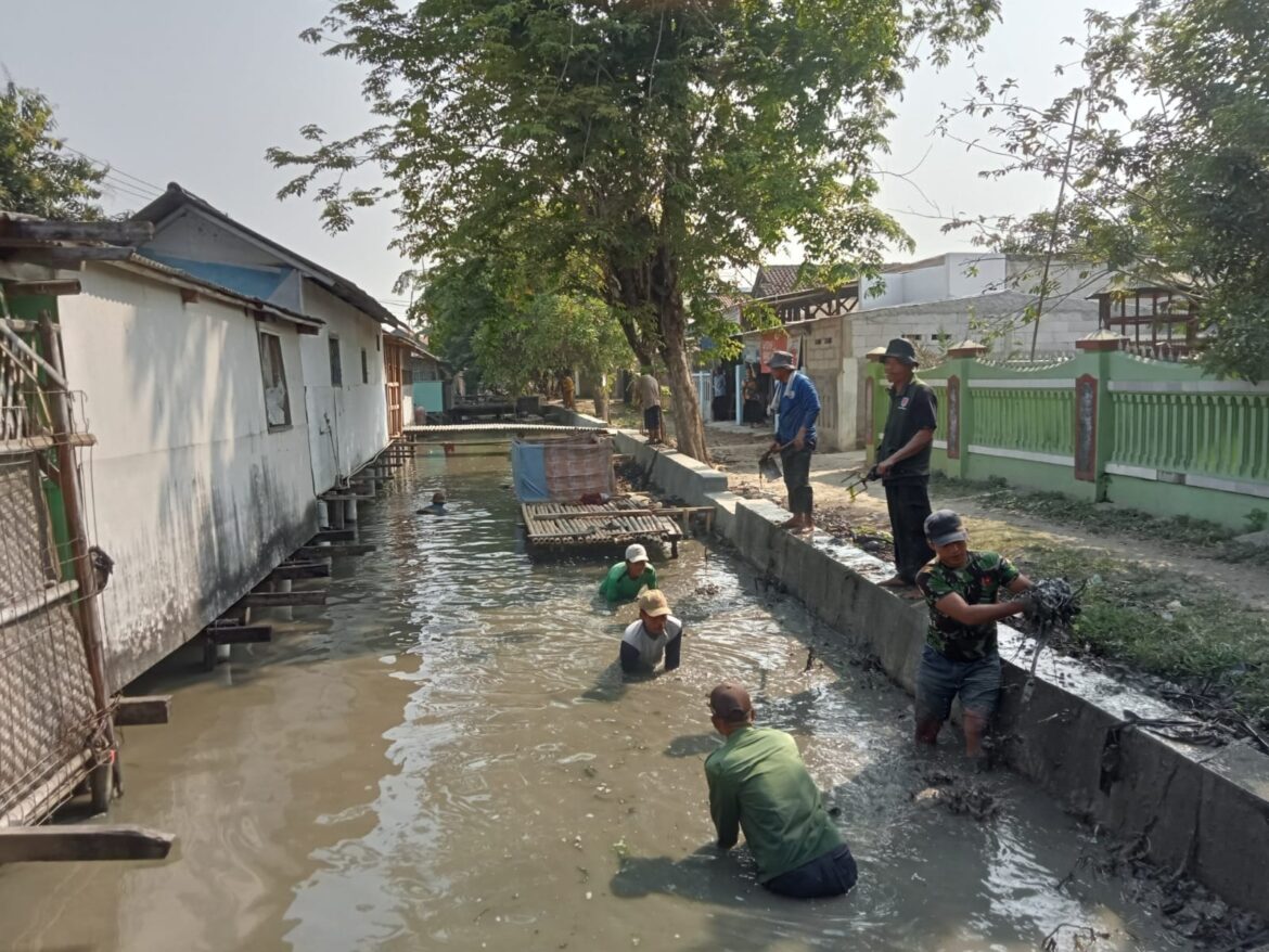 Mengurangi Dampak Elnino Petani Kampungsawah Gotongroyong Bersihkan Saluran Sekunder