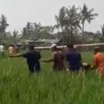 Aden Tewas Tersengat Perangkap Tikus