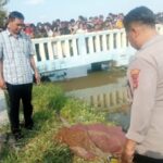 Mayat Yang Mengambang Diketahui Bernama Nani