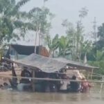 Jasa Perahu Penyeberangan Orang Tenggelam