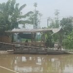 “Bohong Kalau 250 Ribu Rupiah Persatu Perahu”