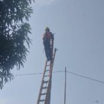 PLN UP3 Karawang TelahTindak Lanjut Kondisi Kabel di Desa Kutajaya