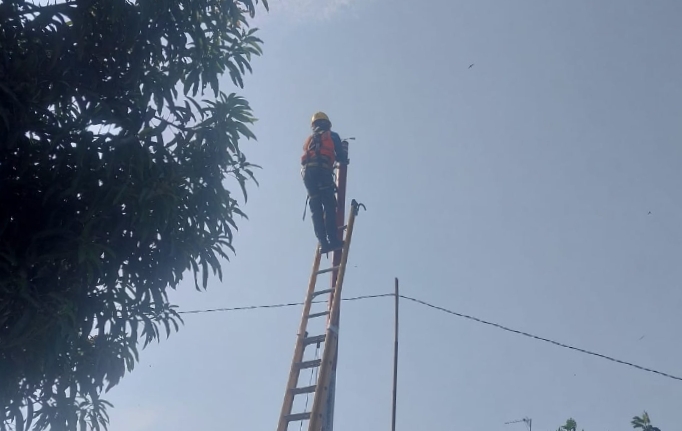 PLN UP3 Karawang TelahTindak Lanjut Kondisi Kabel di Desa Kutajaya