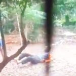 Viral Sebuah Video Seorang Kades Di Karawang Aniaya Warganya