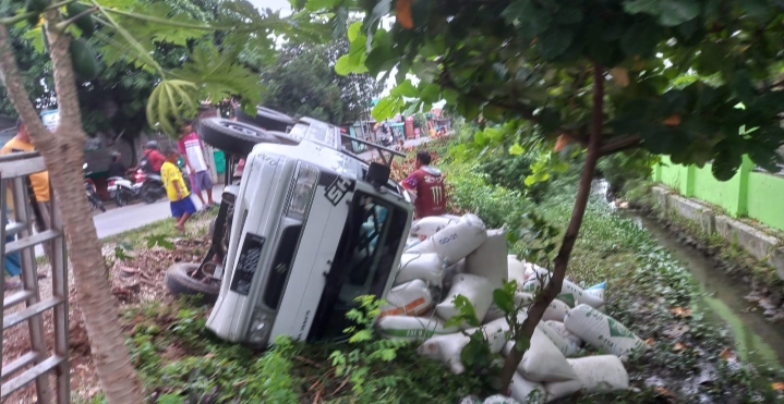 Akibat Supir Ngantuk Mobil Pengangkut Gabah Terguling